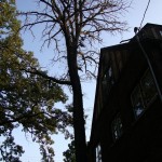 DSC06115
