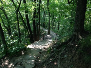 IMG_5244