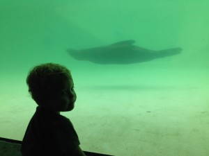 IMG_5698